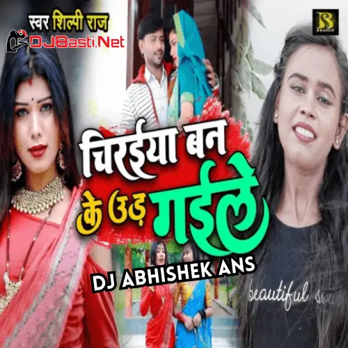 Chiraiya Ban Ke Ud Gaile Saiya Ji Hamar Ho Bhojpuri EDM Mix Dvj AbhiShek AnS